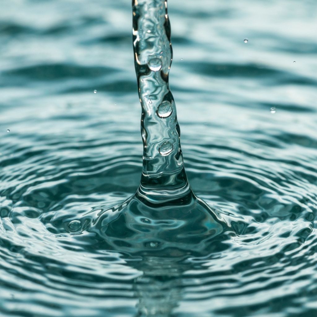 Hydration and water intake importance